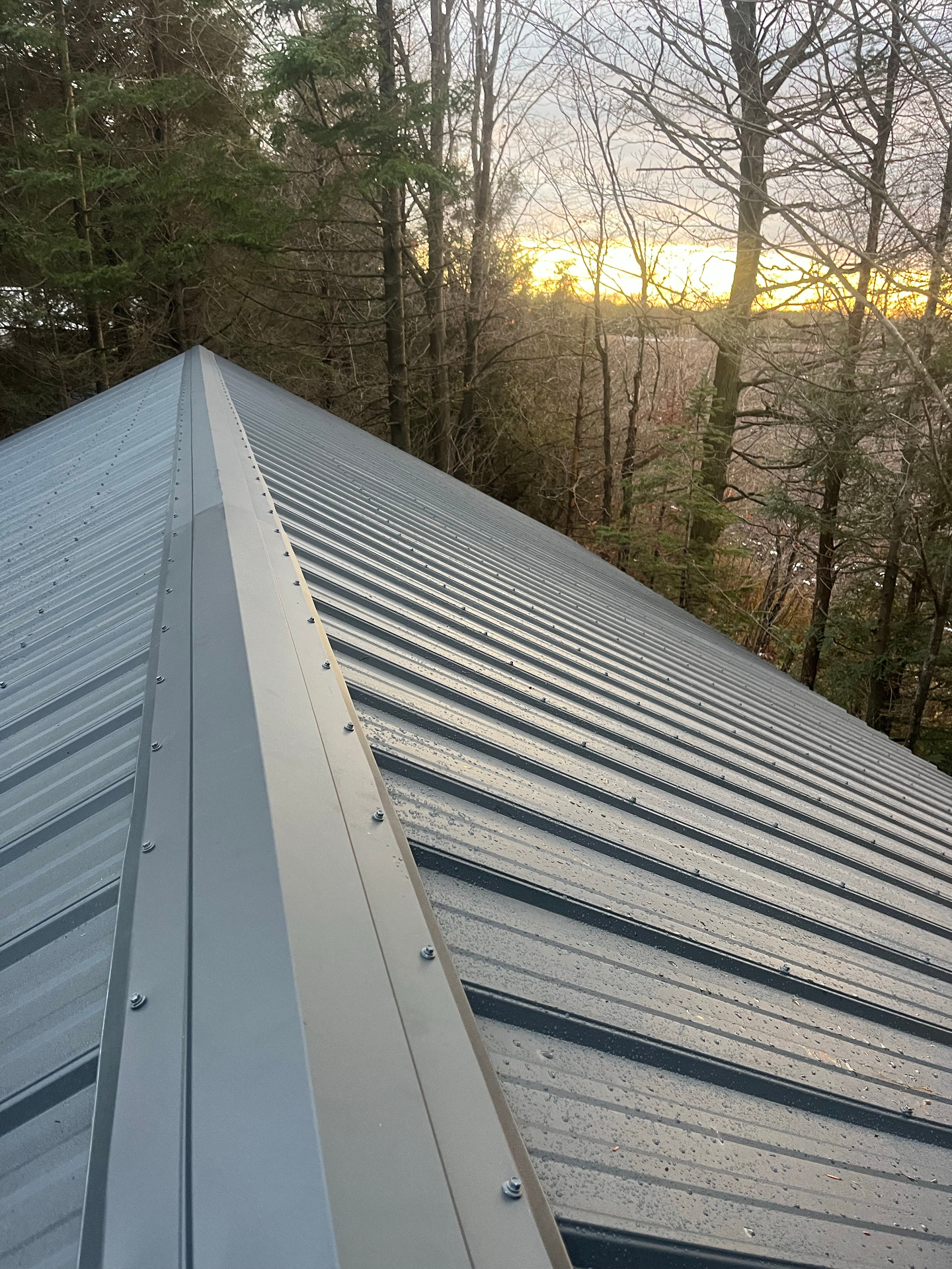 Light grey metal roof with crisp ridge cap and exposed fasteners installed beside a tree line